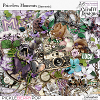 Priceless Moments Elements