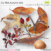 CU 984 AUTUMN BITS