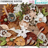 Farmhouse Winter Flowers by JB Studio