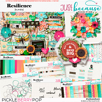 Resilience Bundle by JB Studio