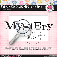 February 2025 Mystery Box