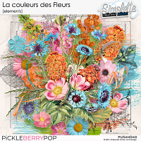 La couleur des Fleurs (elements) by Simplette