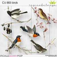 CU 883 BIRDS 