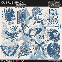 CU Brush Pack 1 by Cindy Ritter