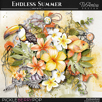 Endless Summer ~ Basic Kit