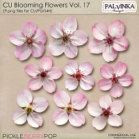 CU Blooming Flowers 17