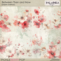 Between Then And Now Paper Overlays