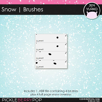 Snow Brushes