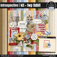 Introspective | Kit + FWP Tidbit