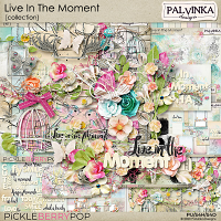 Live In The Moment Collection