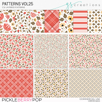 Patterns Vol25 (CU)