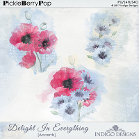 Delight In Everything Accent Overlays by Indigo Designs 