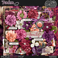 Petalista [Page Kit] by Cindy Ritter