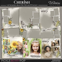 Cherish ~ Art Templates Album by TirAmisu design 