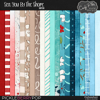 Sea You By The Shore [Papers] by Cindy Ritter