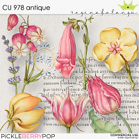 CU 978 ANTIQUE