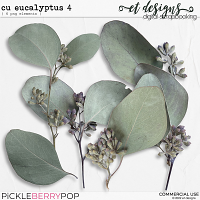 CU Eucalyptus 4 by et designs