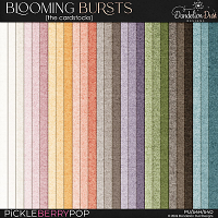 Blooming Bursts: Cardstocks