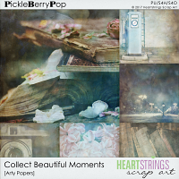 Collect Beautiful Moments Arty Papers