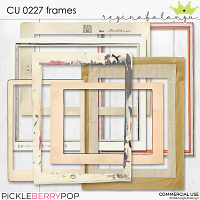 CU 0227 FRAMES