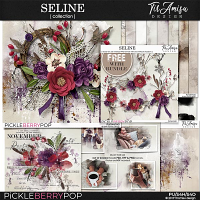 Seline Bundle Plus Free Gift by TirAmusu Design