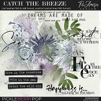 Catch The Breeze ~ brushes and word art 