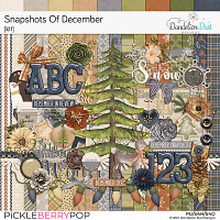 Snapshots Of December: Kit