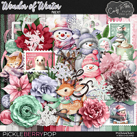 Wonder of Winter [Kit] by Cindy Ritter 