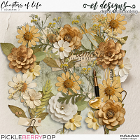 Chapters of Life Clusters by et designs