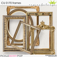 CU 0170 FRAMES