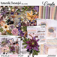 Naturally Beautifu-Bundle