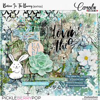Believe In The Bunny-Extras