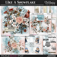 Like A Snowflake Bundle by TirAmisu design