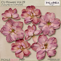 CU Flowers 29