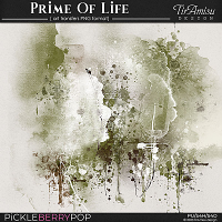 PrimeOf Life ~ art transfers 