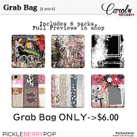 2025 DSD Grab Bag-CarolW Designs