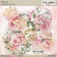 Still Us Overlays and WA