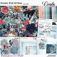 Pocket Full Of Star-Bundle