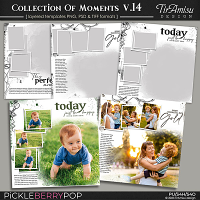 Collection Of Moments Templates vol.14 ~ July 