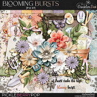 Blooming Bursts: Kit