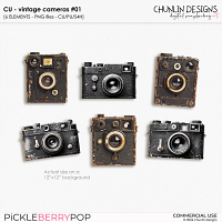 CU - Vintage cameras #01
