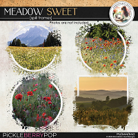 Meadow Sweet: Spill Frames