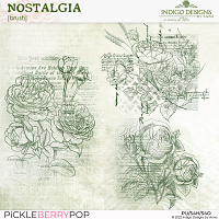 Nostalgia Brushes by Indigo Designs