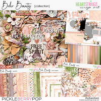 Boho Beauty Collection