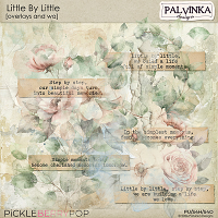 Little By Little Overlays and WA