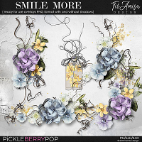 Smile More ~ ready for use overlays by Tiramisu design 