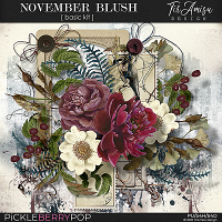 November Blush ~ Basic Kit  