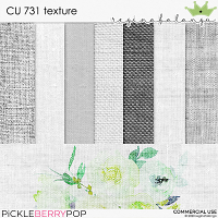 CU 731 TEXTURE