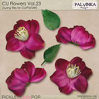 CU Flowers 23