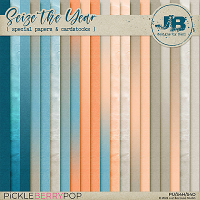 Seize The Year Special Papers & Cardstocks by JB Studio